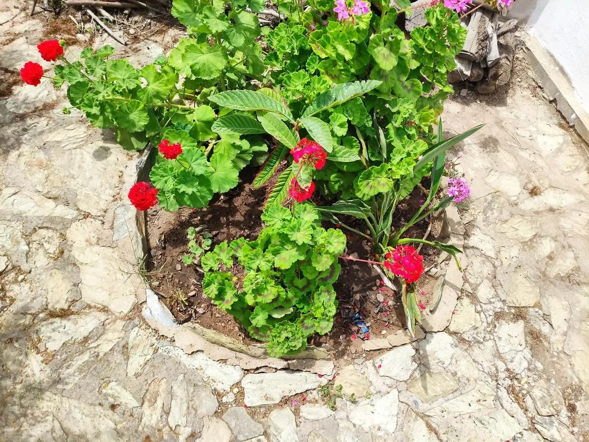 Casa vacanze Dune bianche Villa Porto Pino Italia